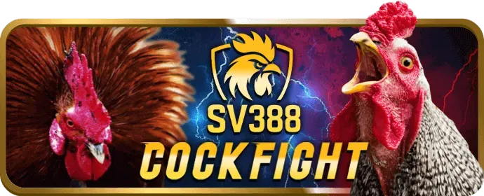 Casino trực tuyến 2bong win